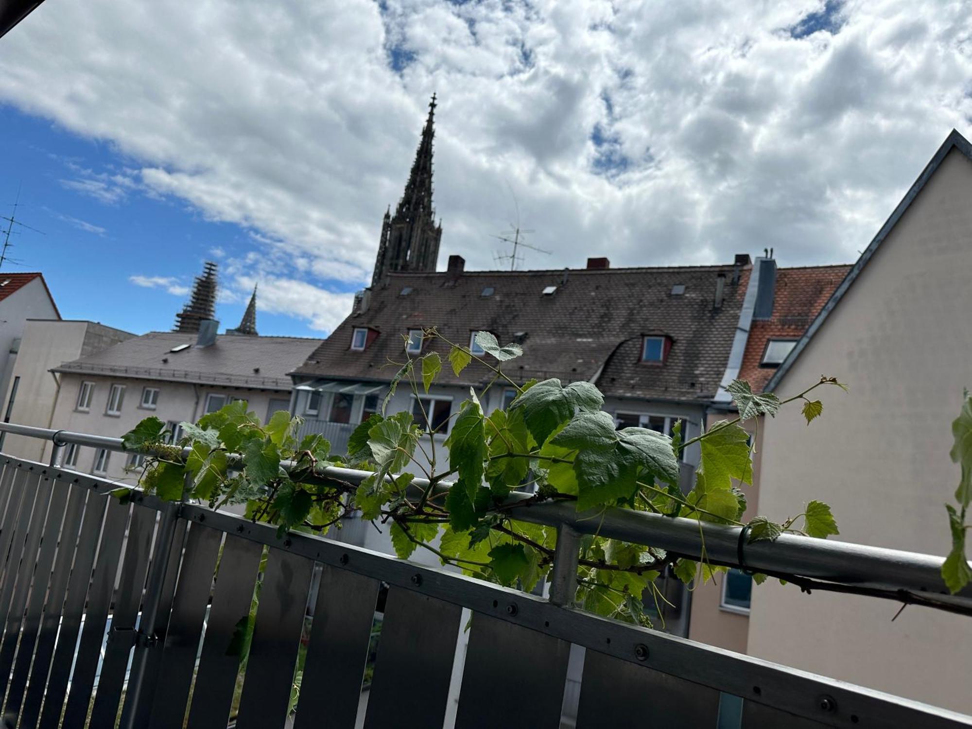 Apartment11 Ulm Buitenkant foto