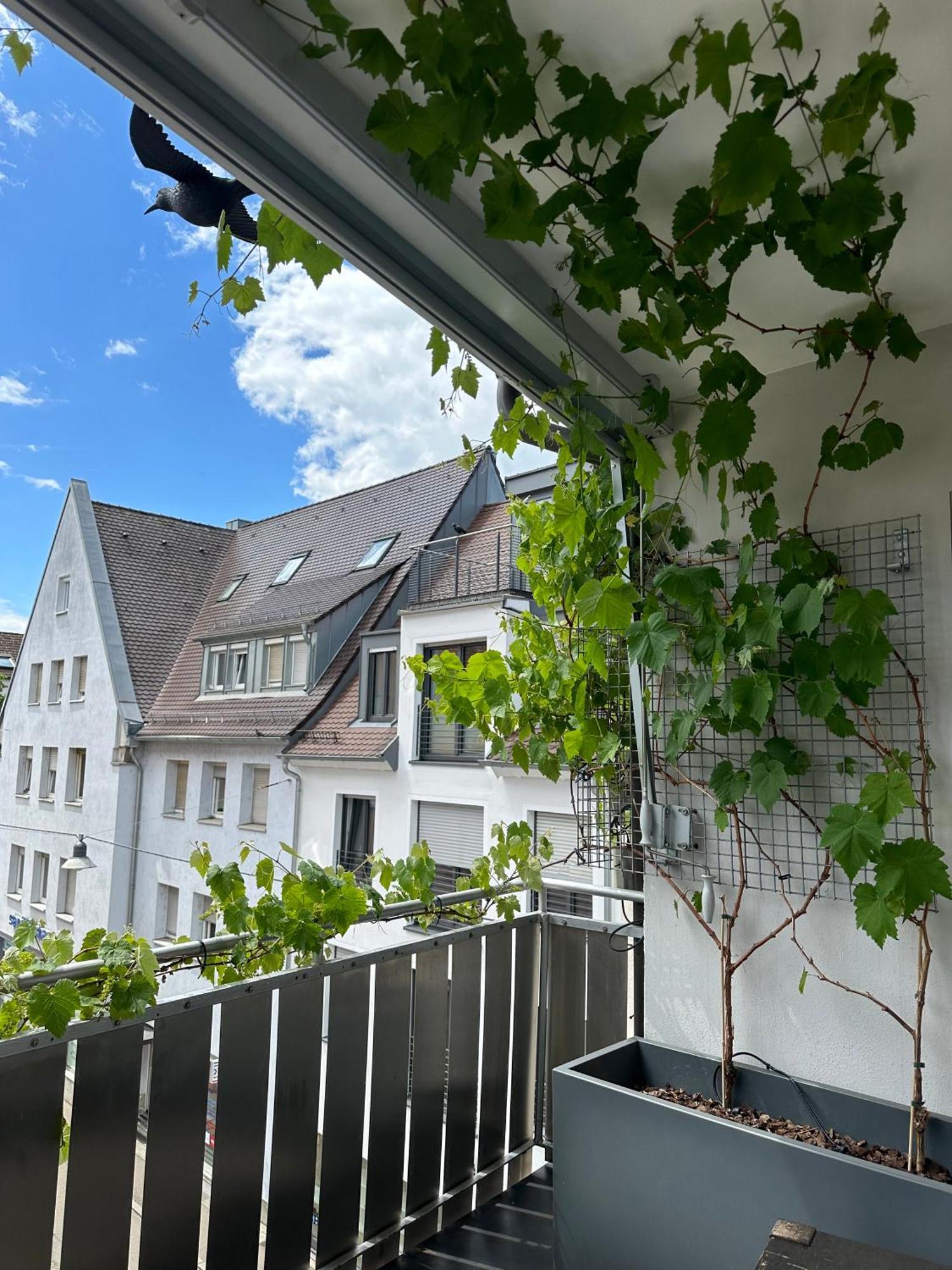 Apartment11 Ulm Buitenkant foto